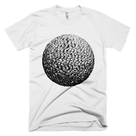 Dread Sphere